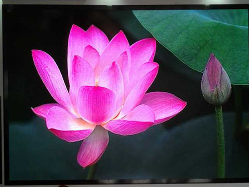 車站南路強(qiáng)力巨彩直營中心 (7)